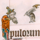 Illustration for article titled Bizarre and vulgar illustrations from illuminated medieval manuscripts